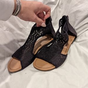 American eagle flats